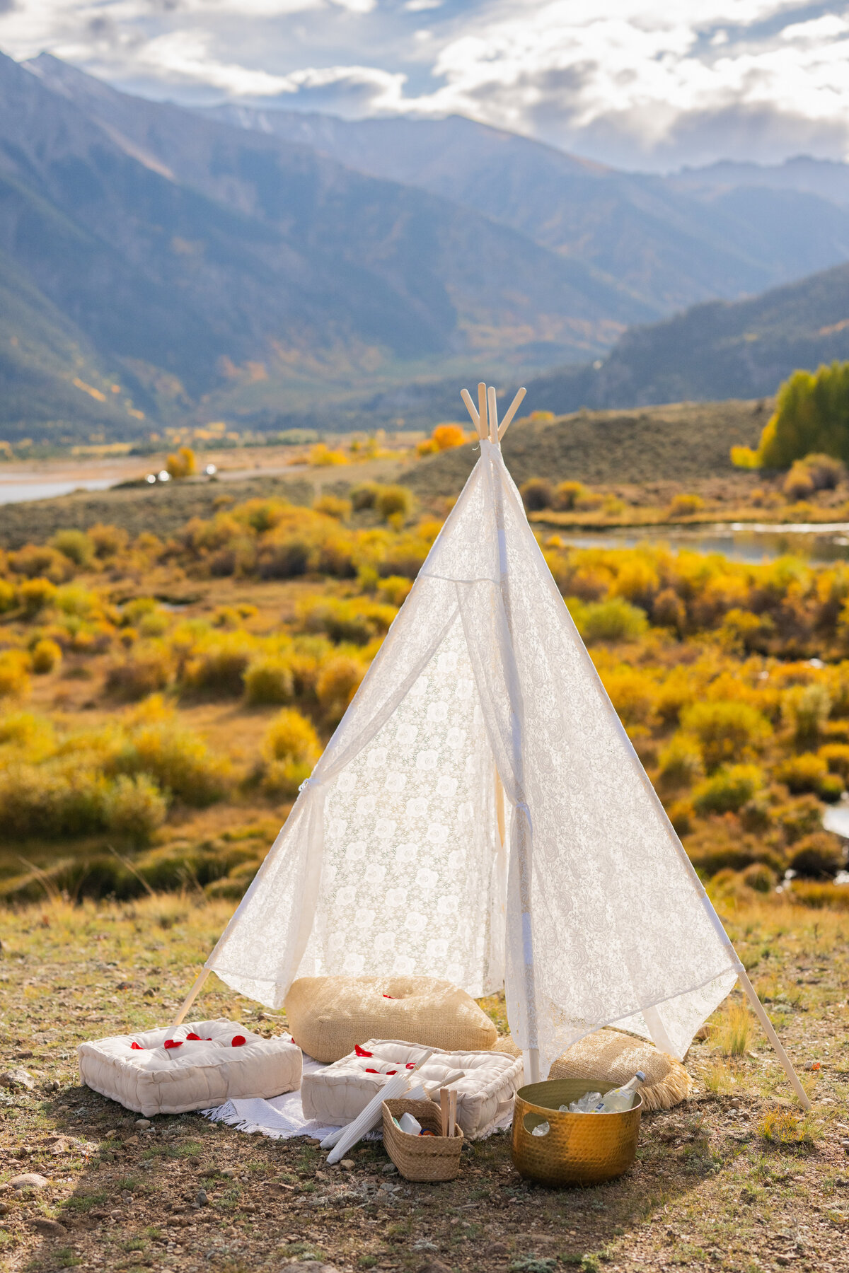 Swati and Anisha Proposal-4