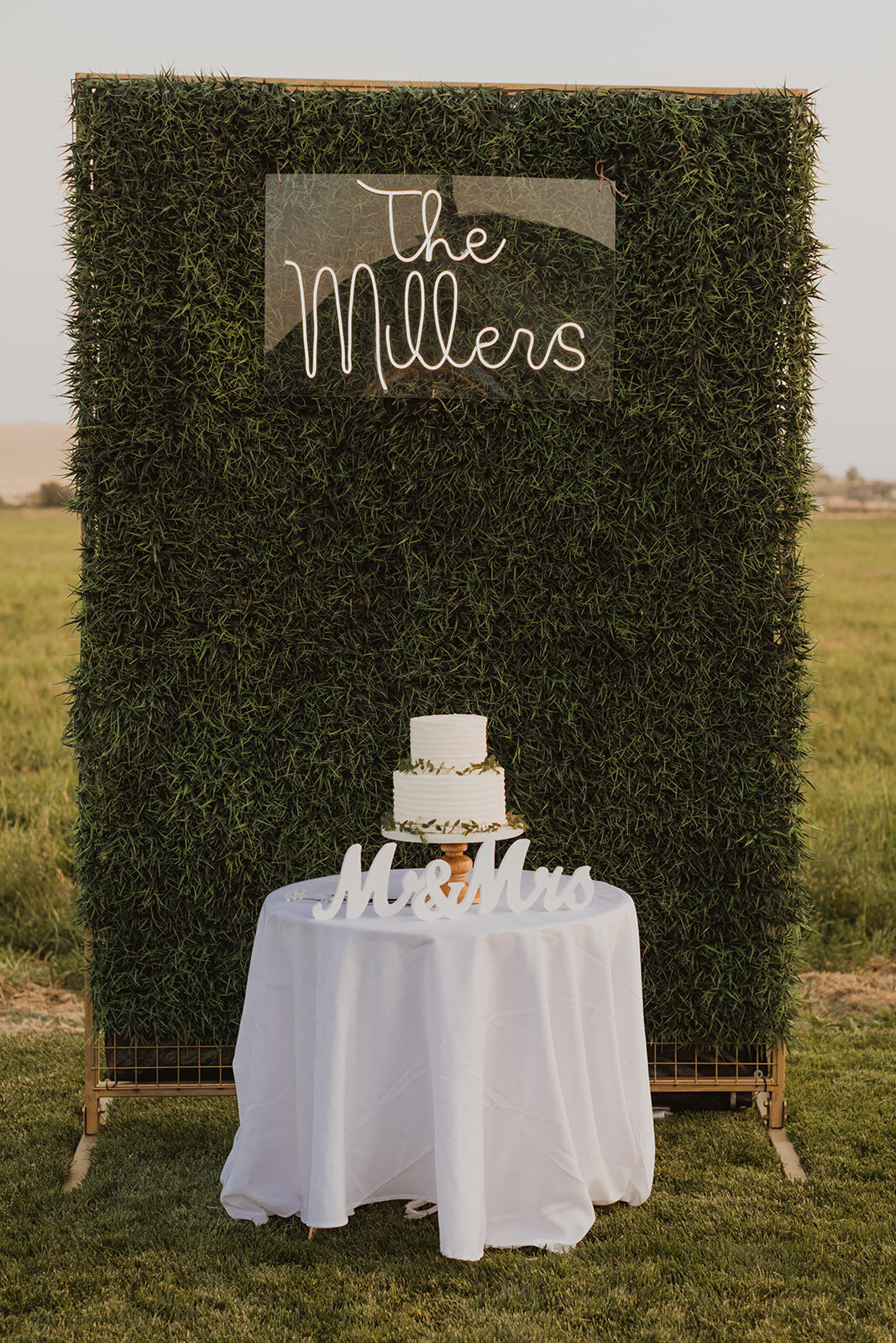 Wedding_Cake_Smash_5