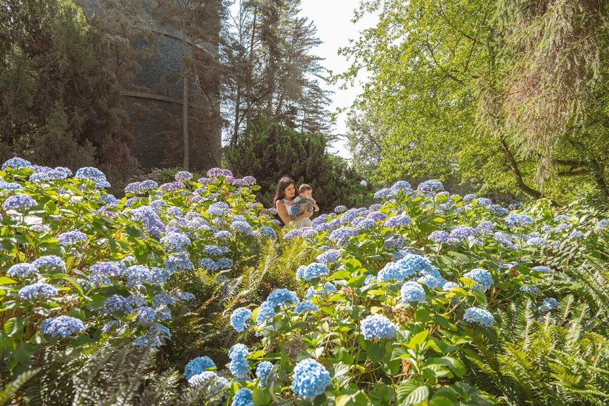 family-photos-at-volunteer-park