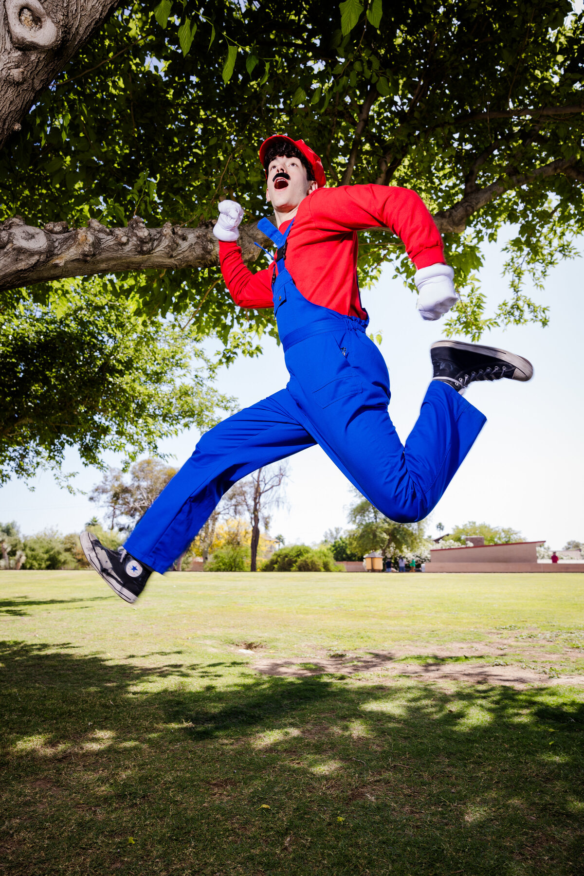 Mario 1