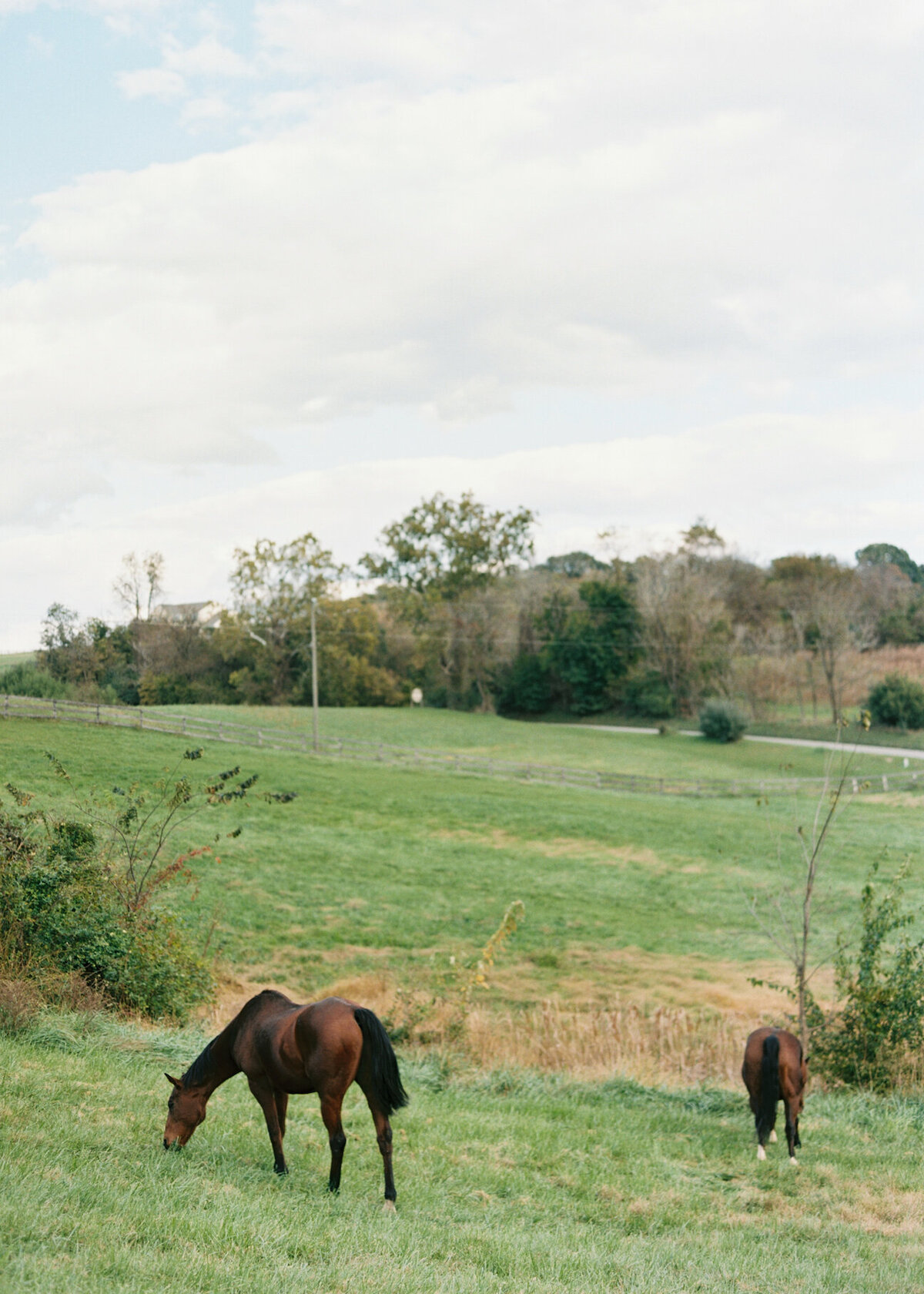 tranquility-farm-rustic-autumn-wedding2