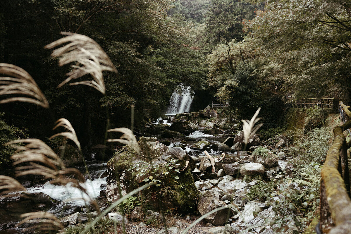 JapanElopement-DallinHazard-380