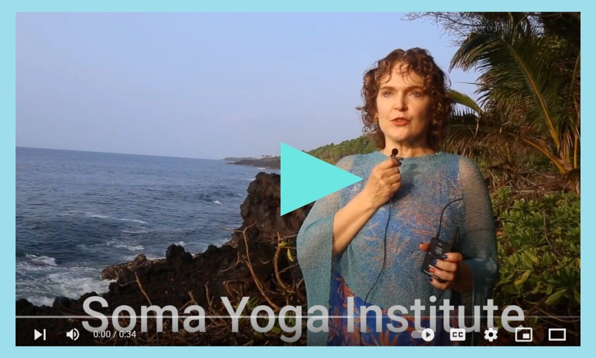 Sue best 200 hour yoga alliance teacher training video testimonial review