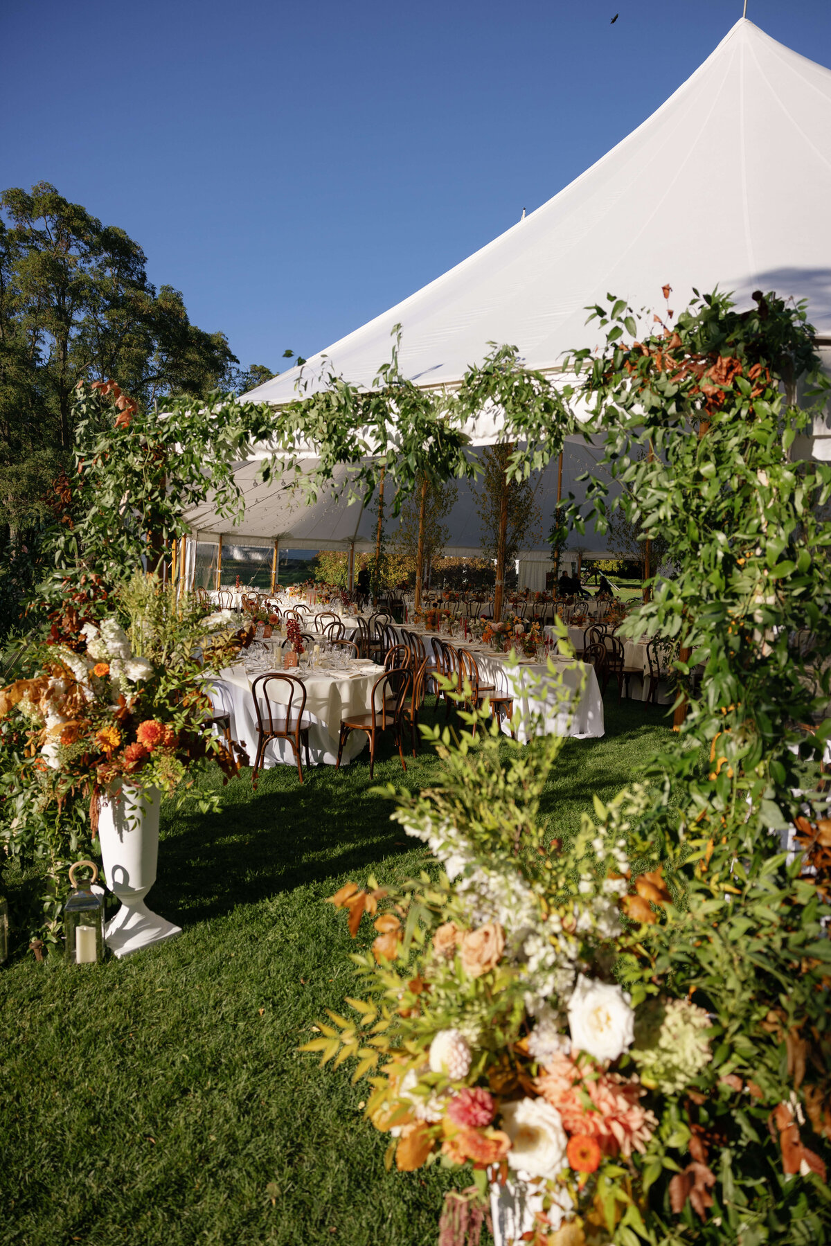 TriciaBaileyPhotography-1002
