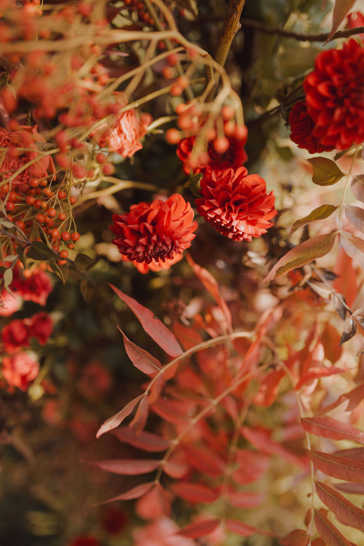 wedding-floral-studio-and-design-by-wallflower-san-francisco-TimberCove113023_413
