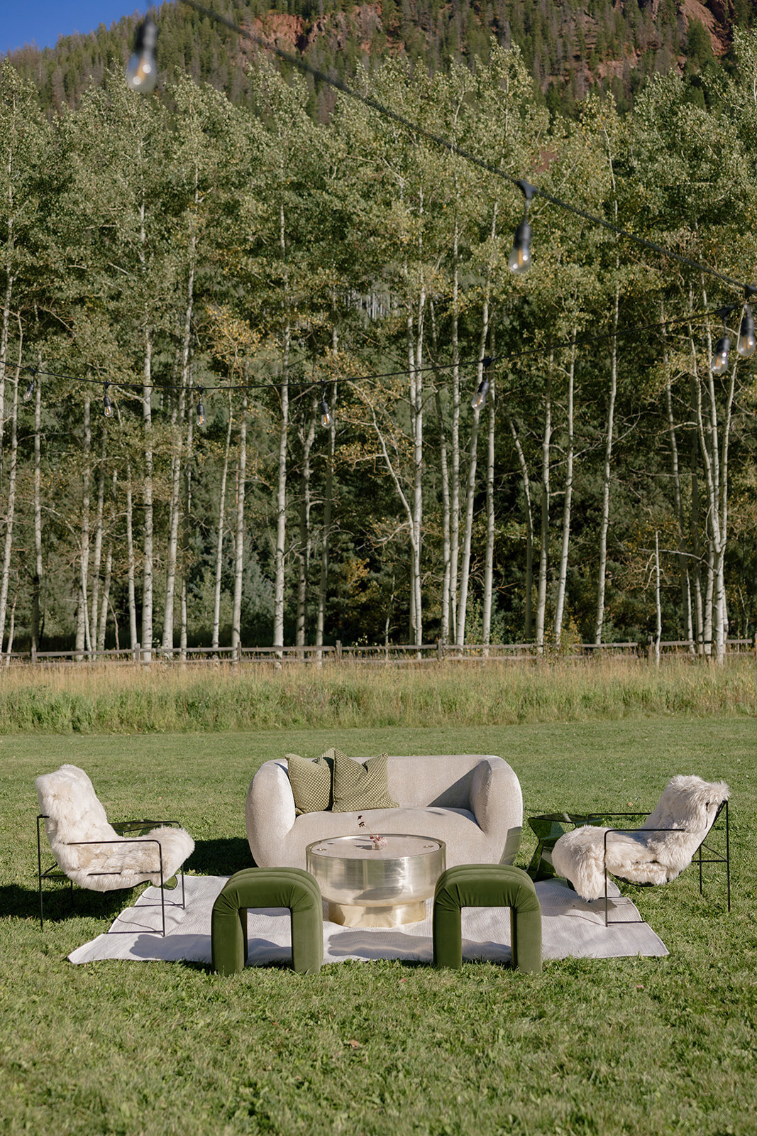 House of WIlde Rentals - Colorado - Aspen2