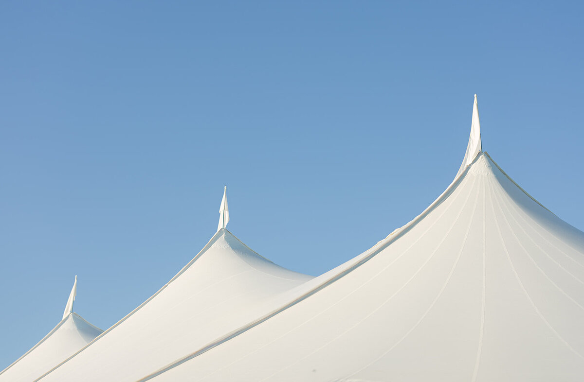 Charlottesville Wedding-144_websize