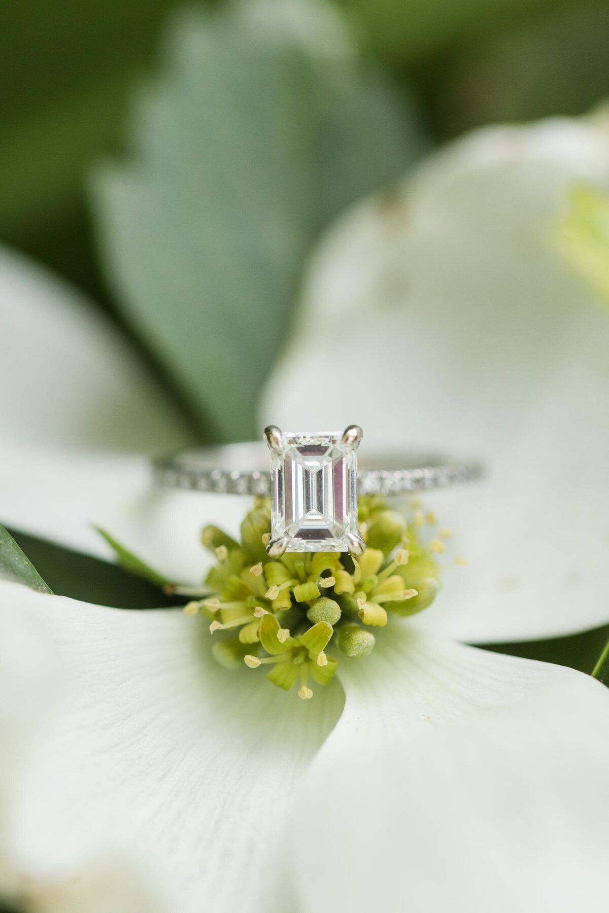 Longwood Gardens Engagement-91