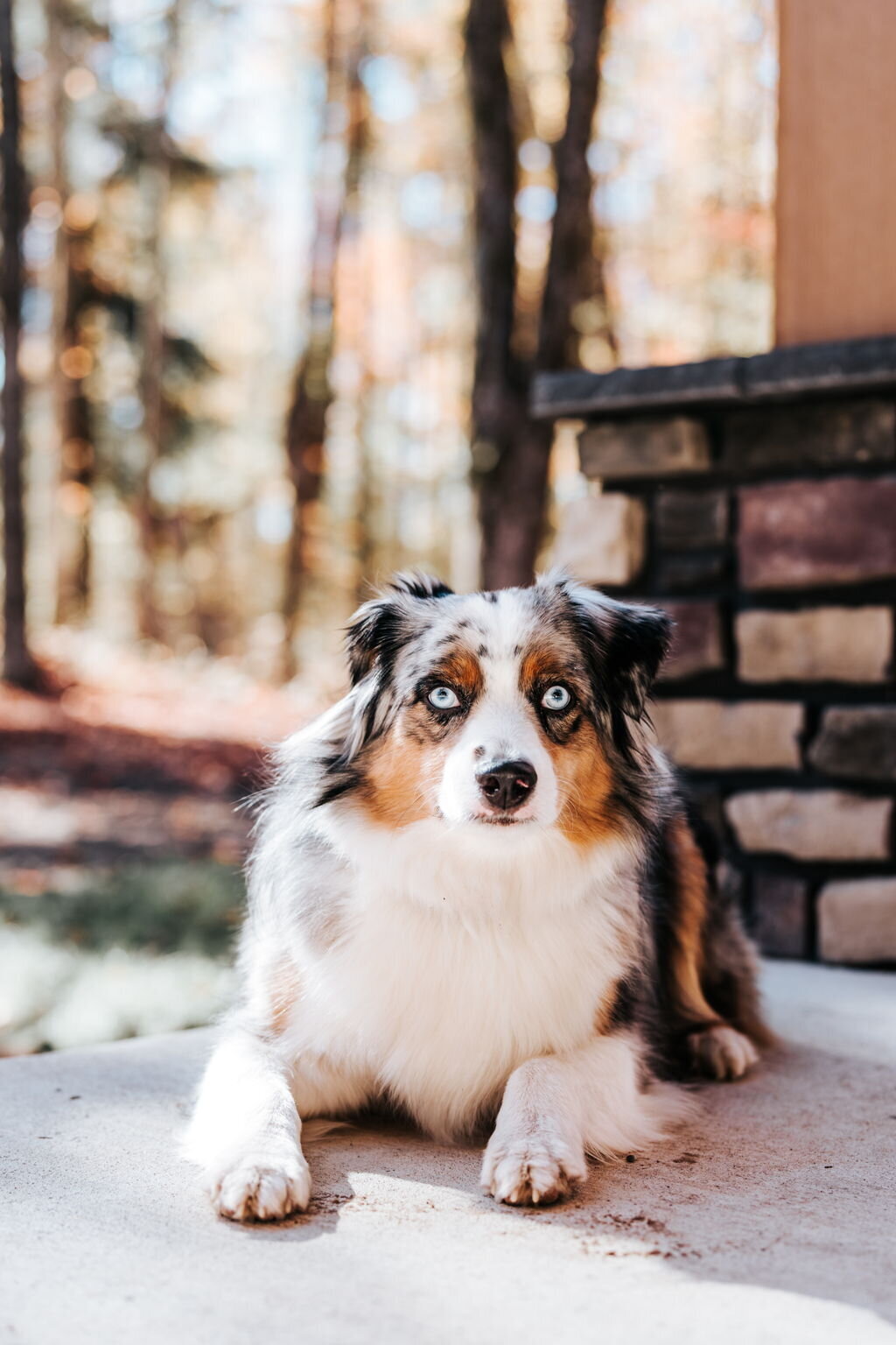 1-web-or-mls-HENRY-2