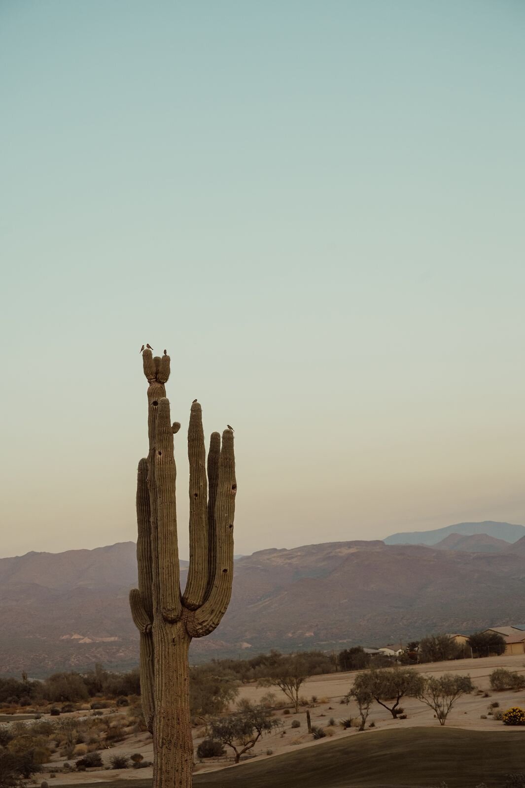 arizona_boho_wedding_15
