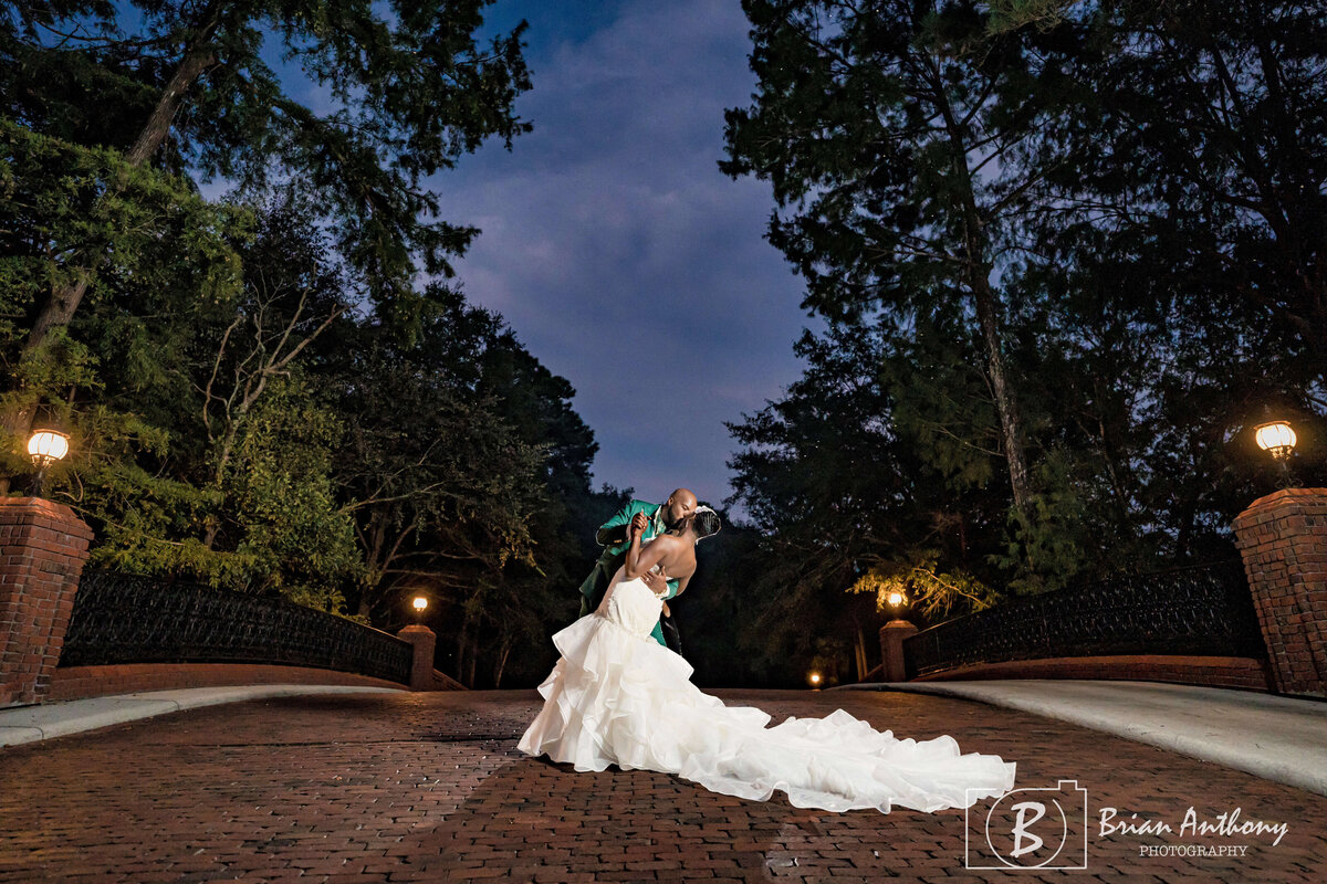Elegant nighttime wedding portrait of the bride in a flowing gown under the stars.