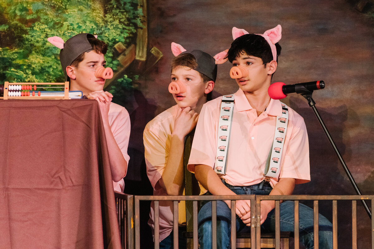 Linnea_Farnsworth_Photography_Washington_DC_Northern_Virginia_Musical_Stage_Photography_5