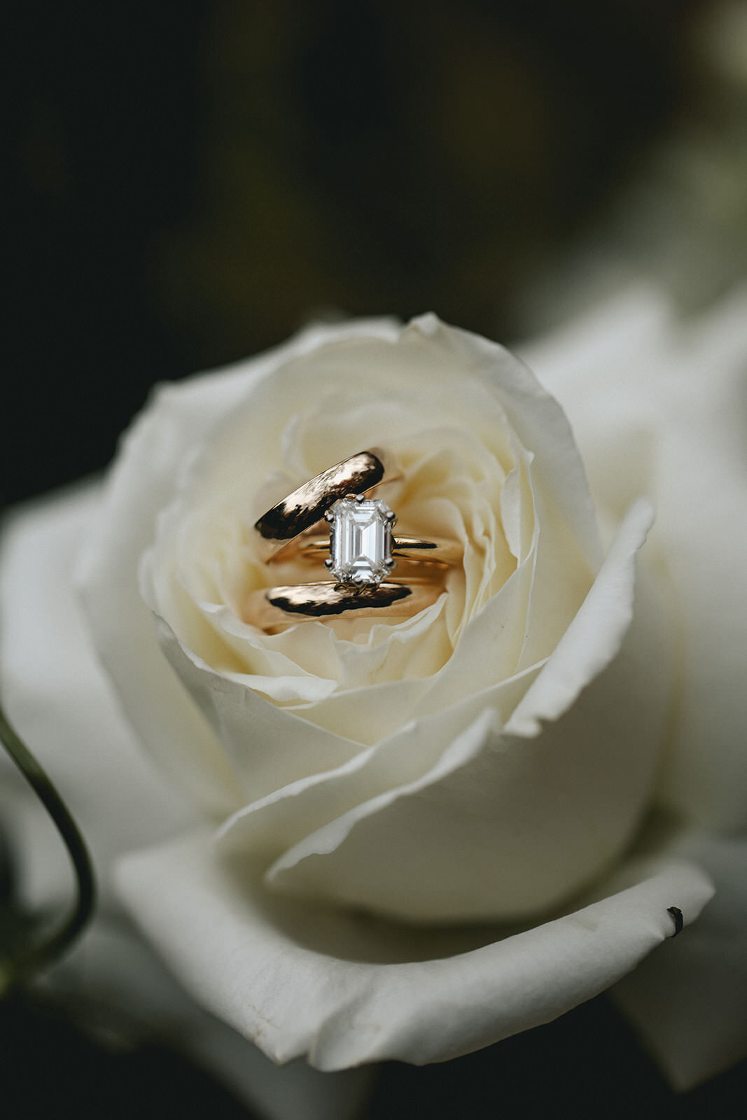 asheville_north_carolina_wedding_photographer_5