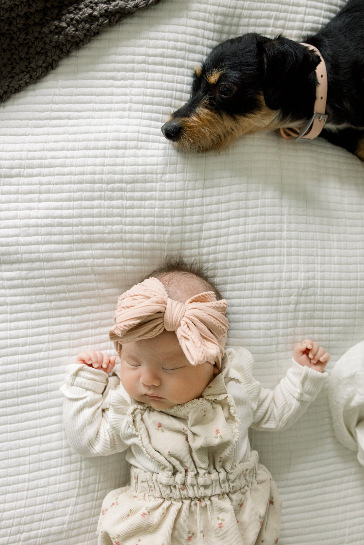 OC Newborn Photographer-January 20, 2024-41