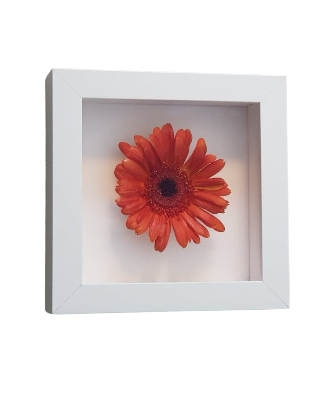 Preserved flower in 3D. frame