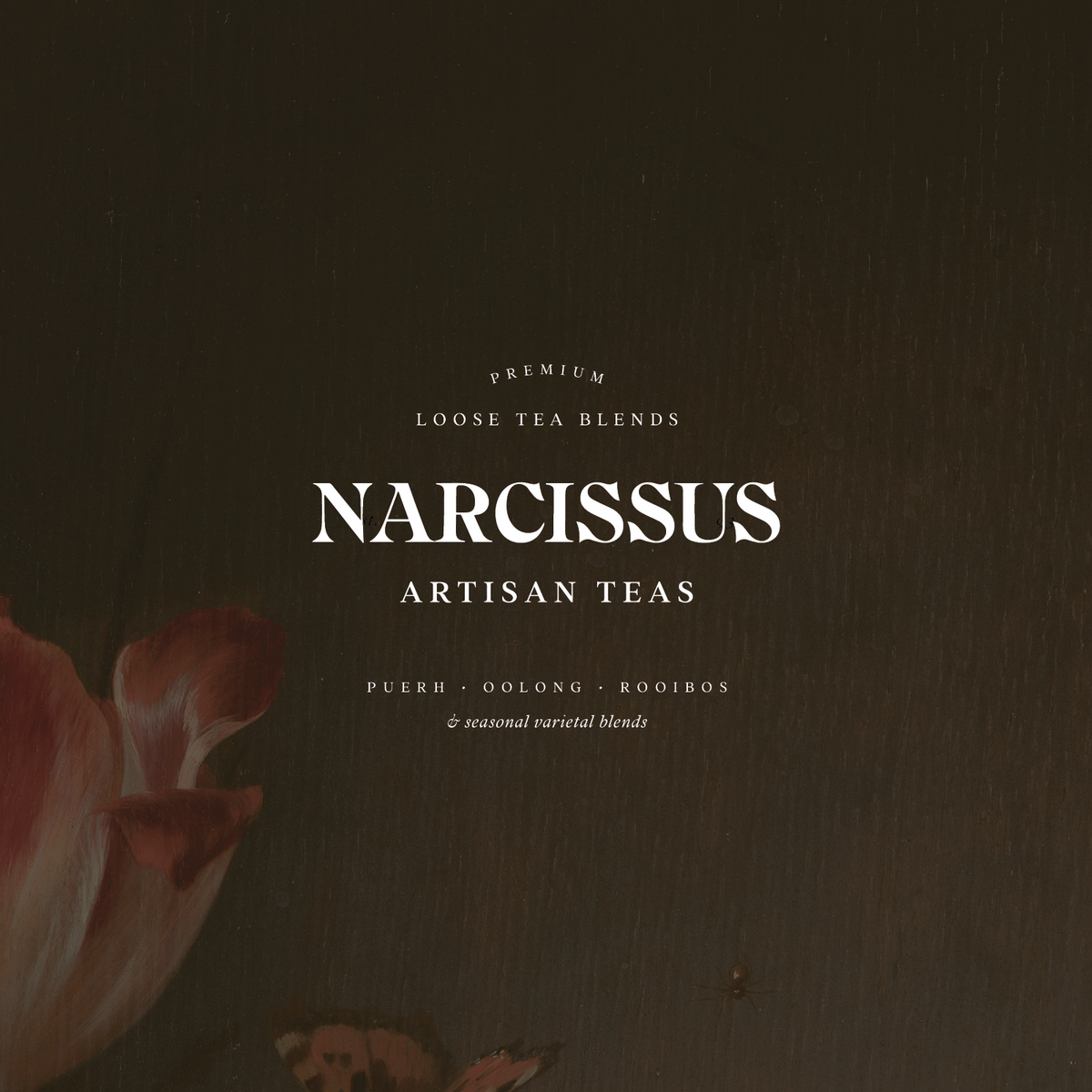 Narcissus_BrandDesign_SarahAnnDesign