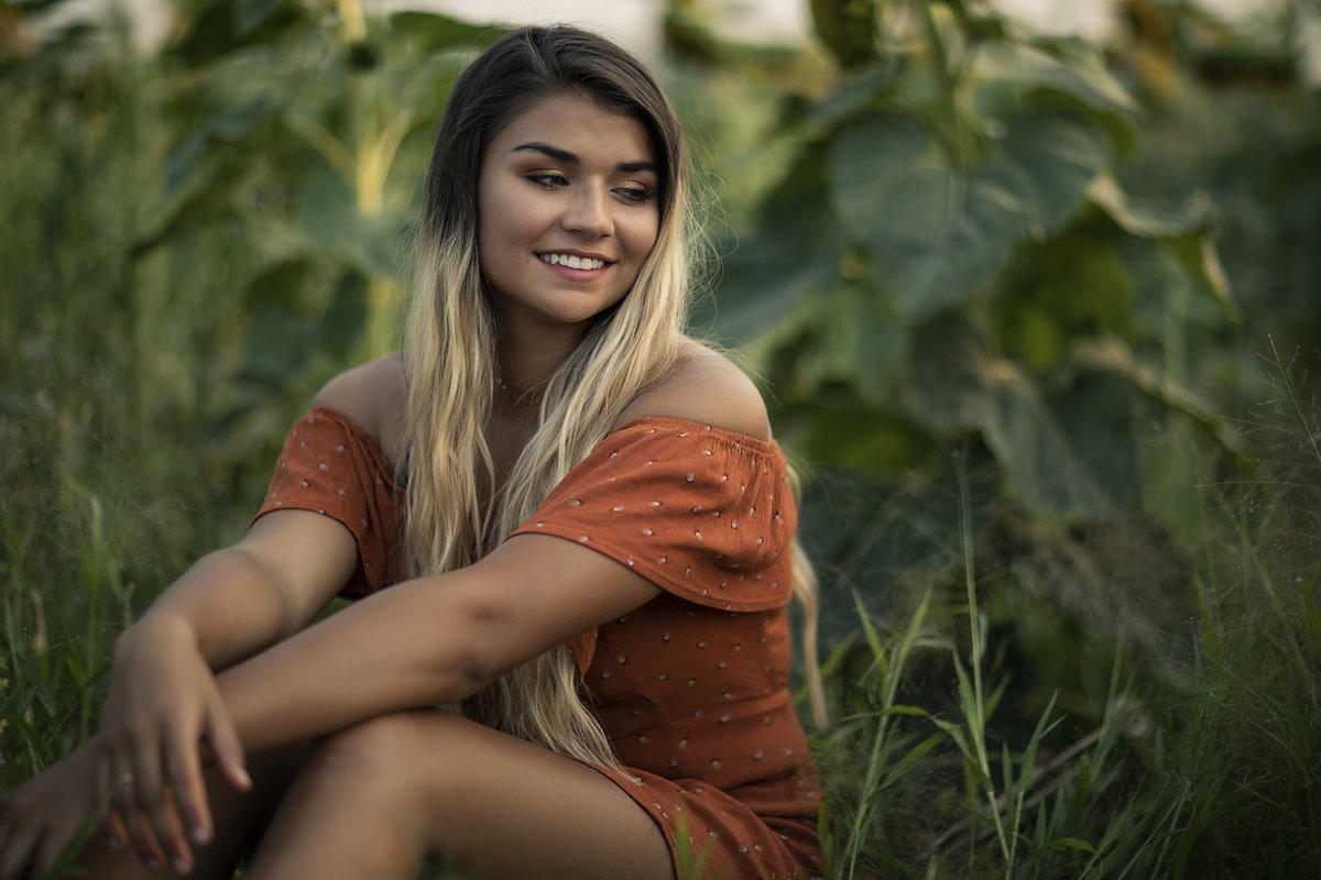 ASHLYN SUNFLOWER 4