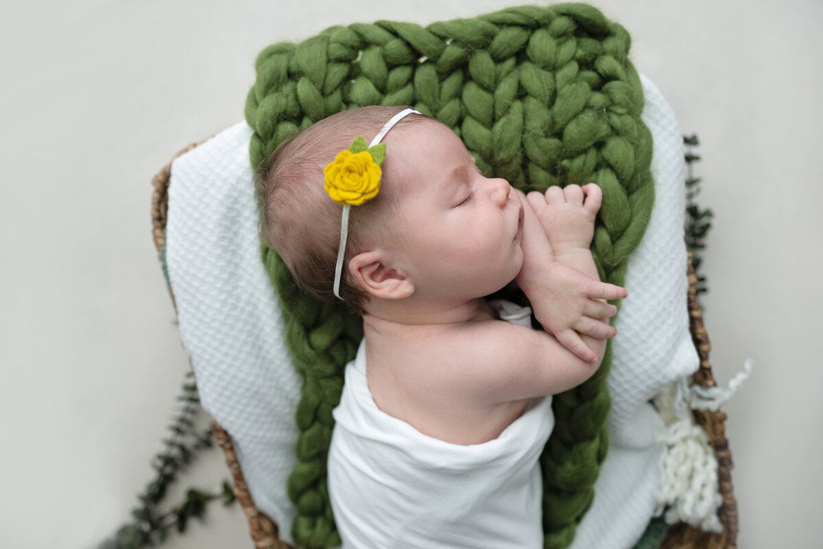 Parkersburg-Newborn-Photographer-00044