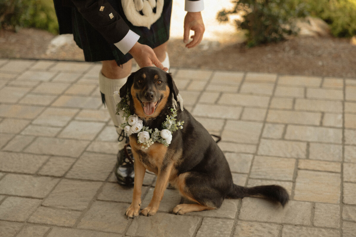 CG-CameronWhitney-25