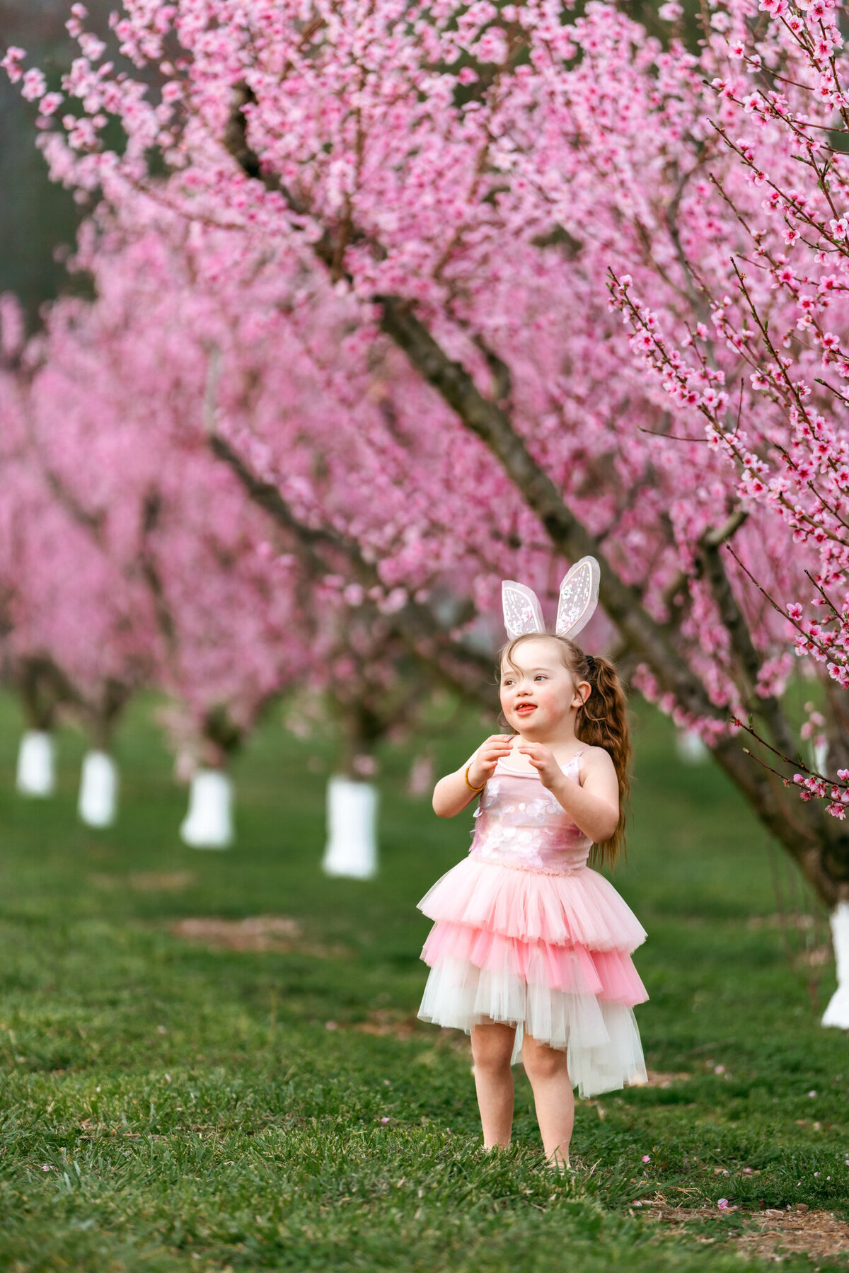 Raleigh-family-photographer-1393