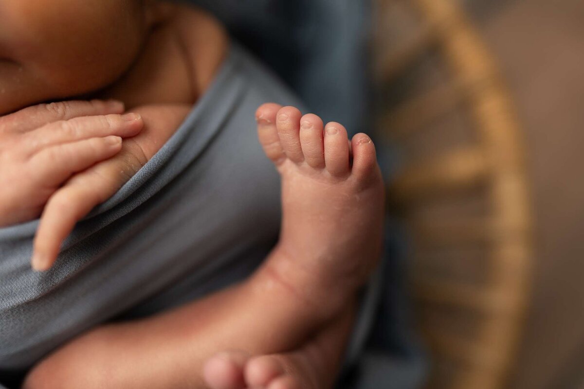 Nw Arkansas newborn photographer, newborn photography near me, newborn portraits in NW Arkansas