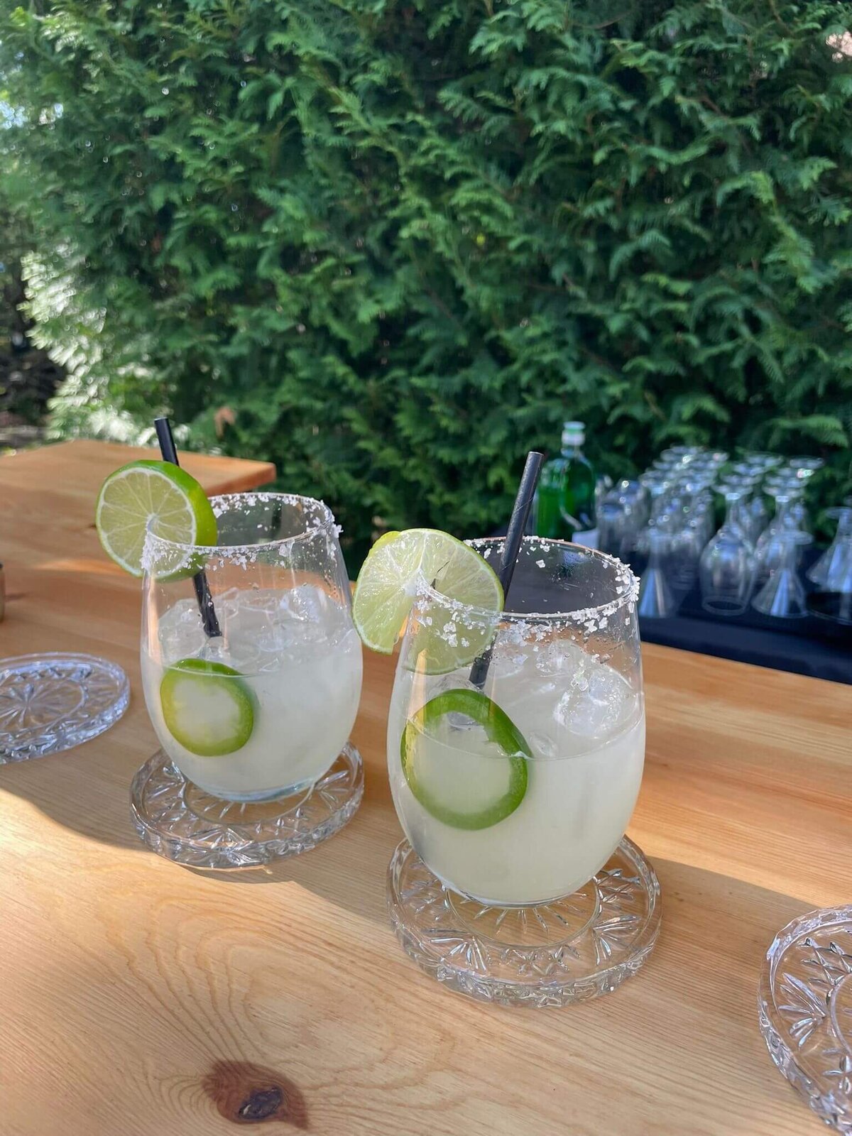 mobile_bar_ontario_hire_bartenders_event_wedding_bachelorette_party (28)