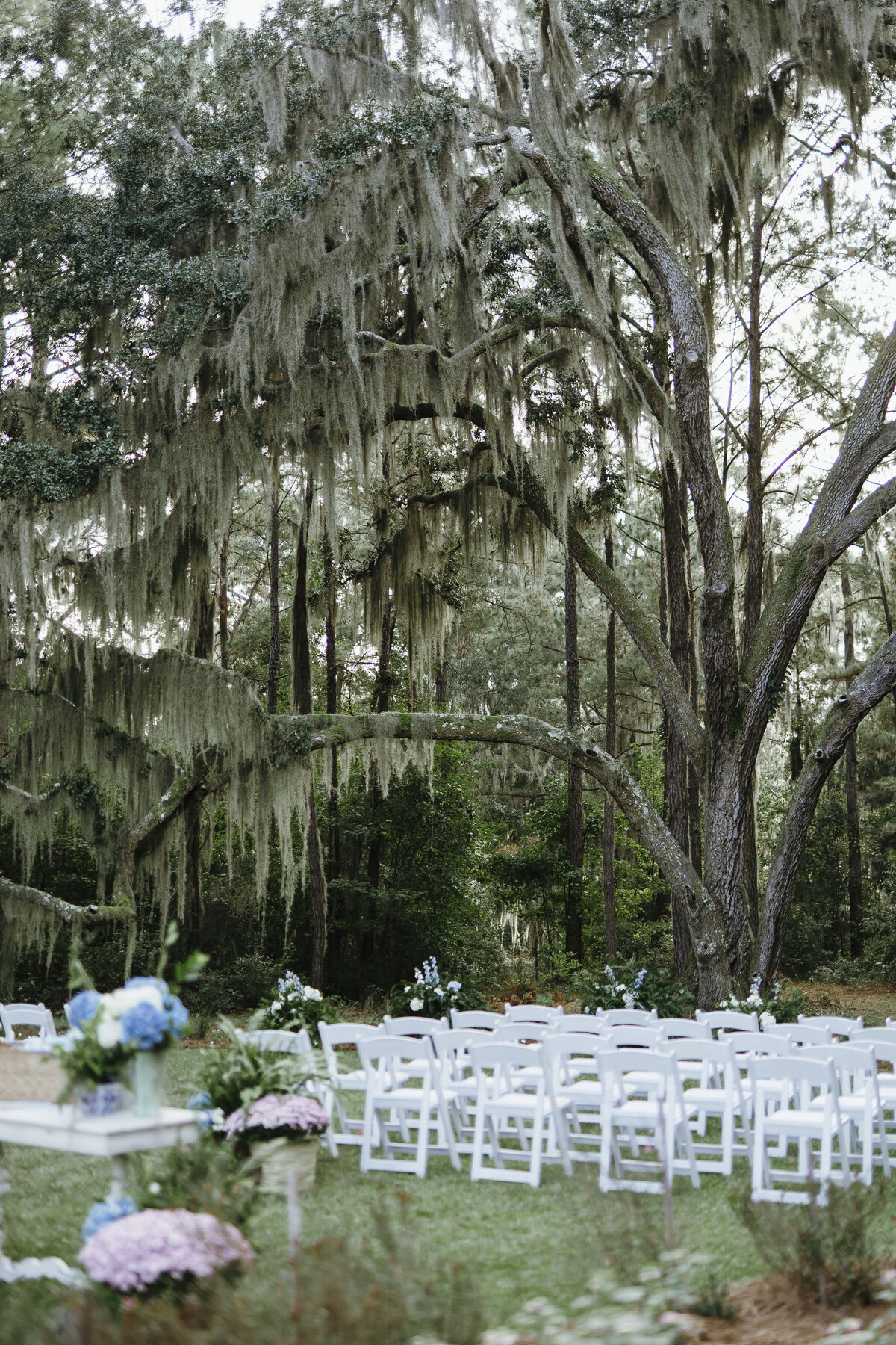 Savannah Georgia Wedding Photographer