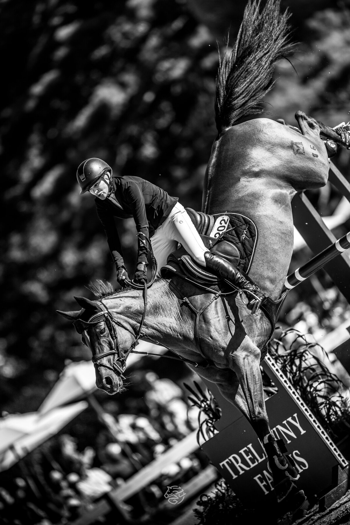 MLSJ25_Greenwich_D5-479