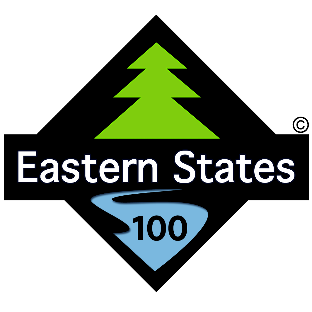 ES100logo