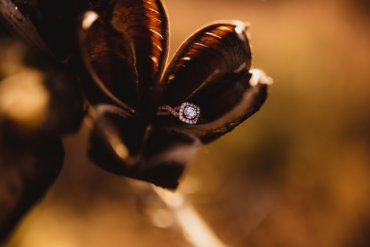 AUTUMN RING SHOT MIDWEST