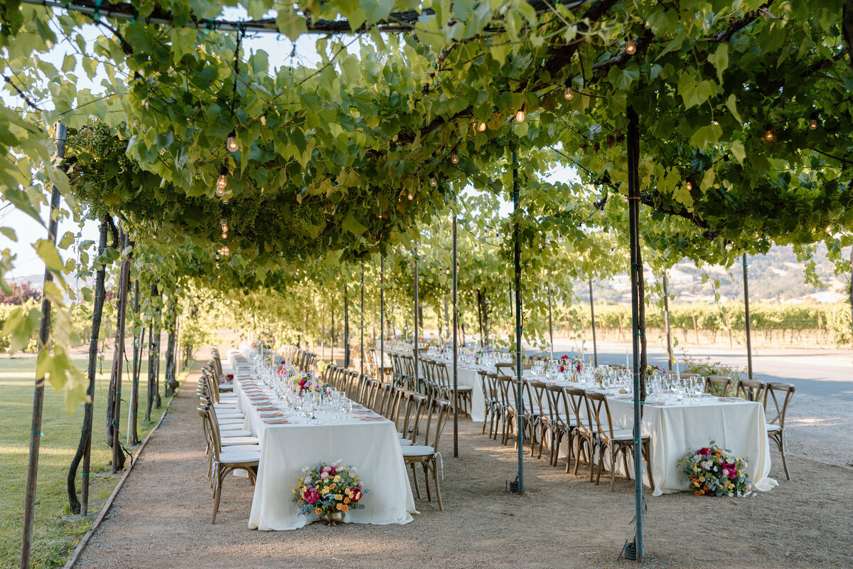 Tuscany wedding with reception under grape vines