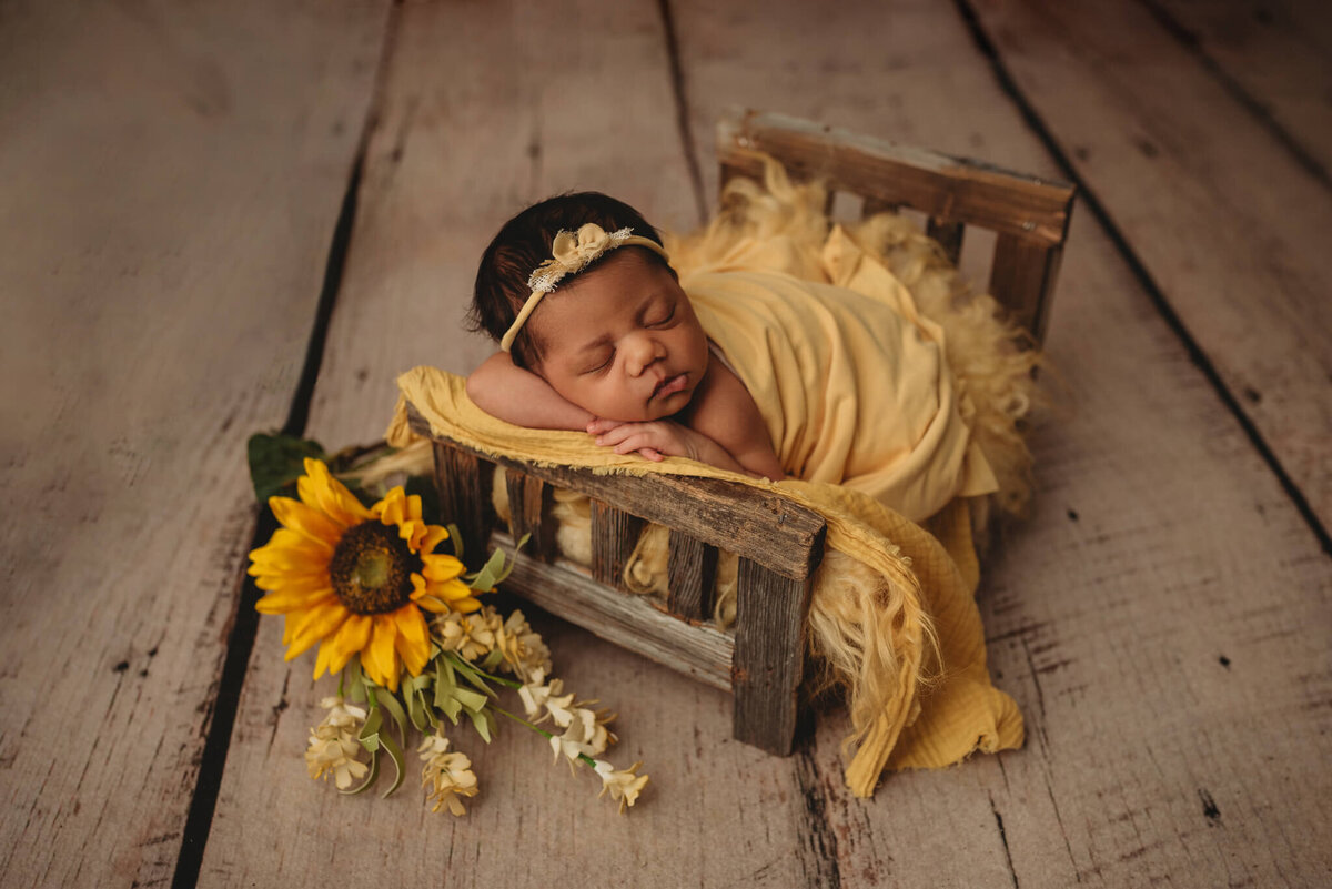 columbus-ohio-newborn-photographer-53