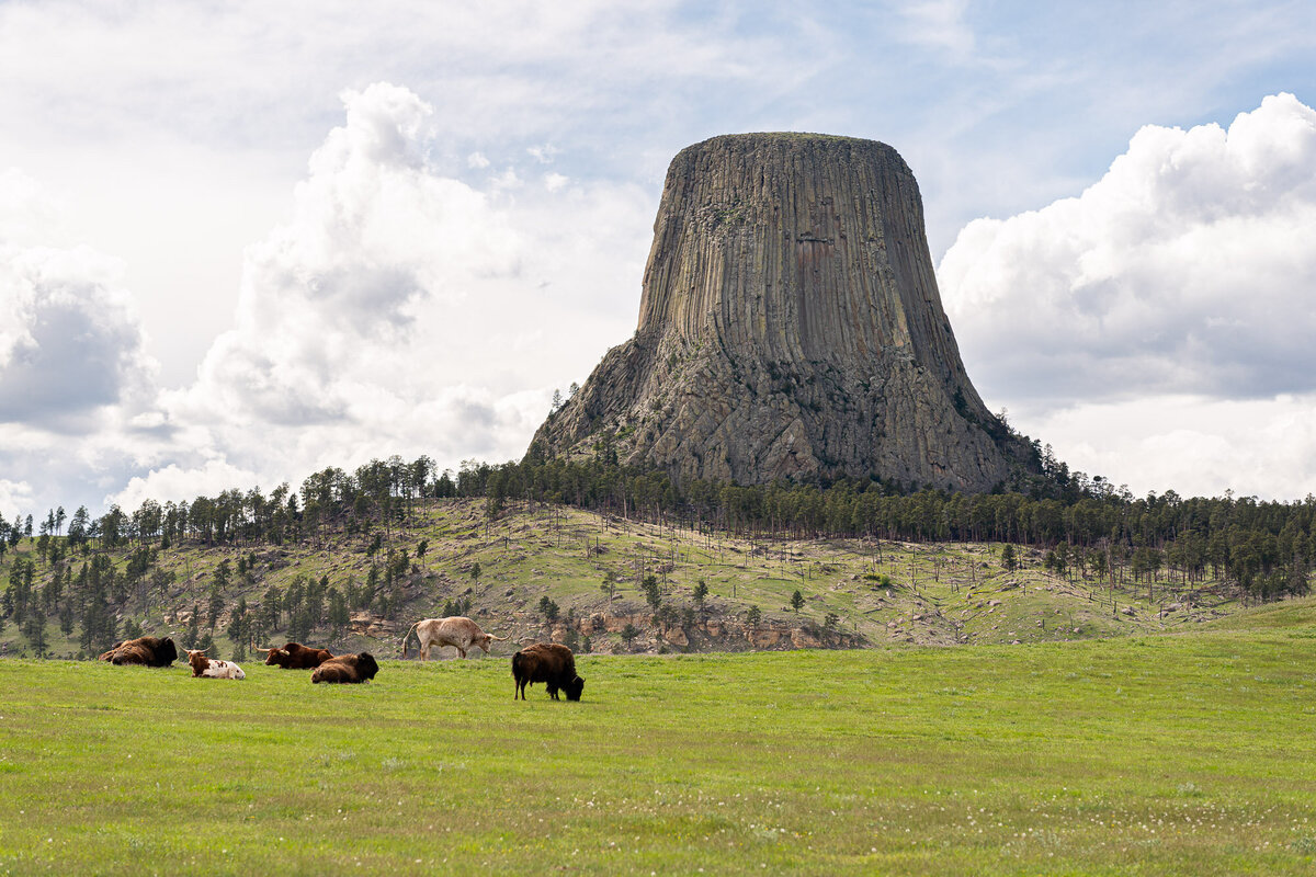 Devils Tower_web-08887