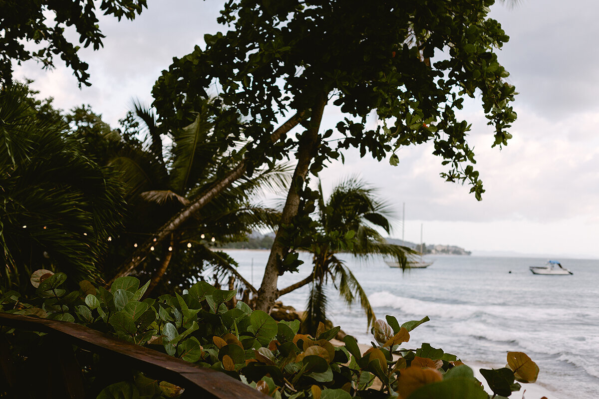 Michelle Norwood Living - Luxury Travel Inspiration - Puerto Rico - MSD-0455