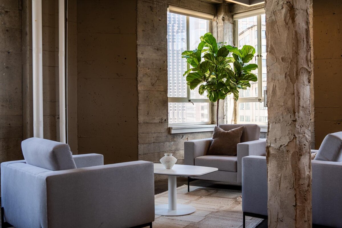 Minimalist seating cluster with modern gray armchairs, a white round coffee table, and a tall fiddle-leaf fig near concrete windows.