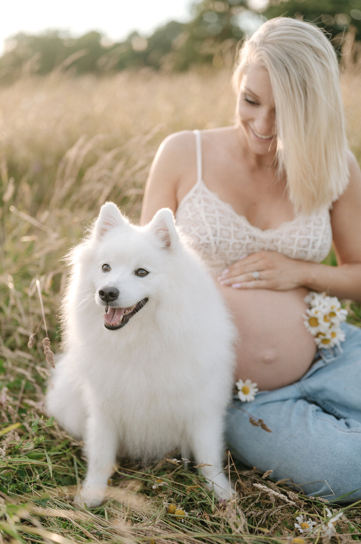 Outdoor maternity shoot of a pregnant woman in a field with a dog