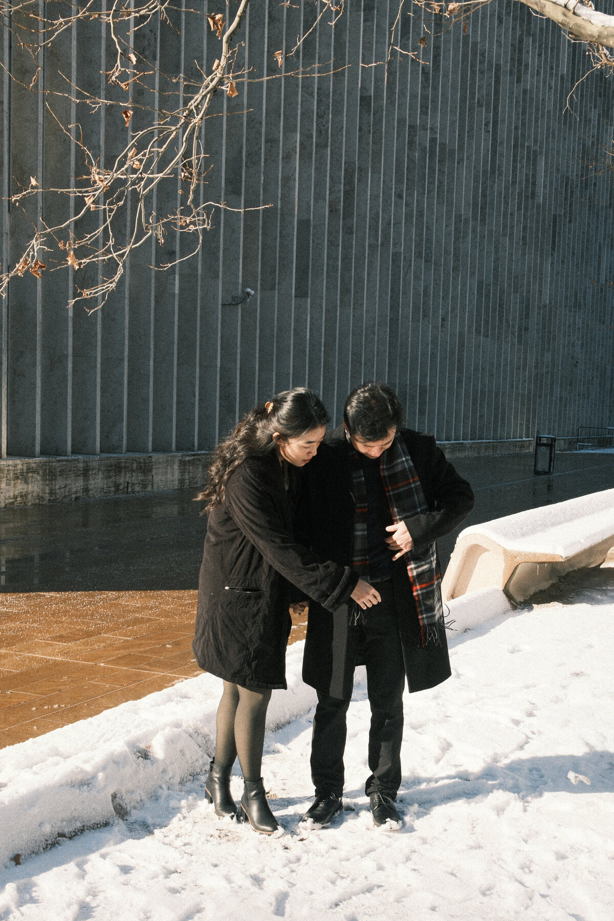 JinsolSamFuji-2