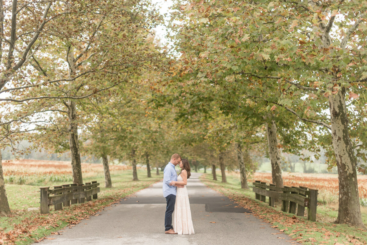 Engaged couple standing in middle of driveway hugging tightly between rows of trees.