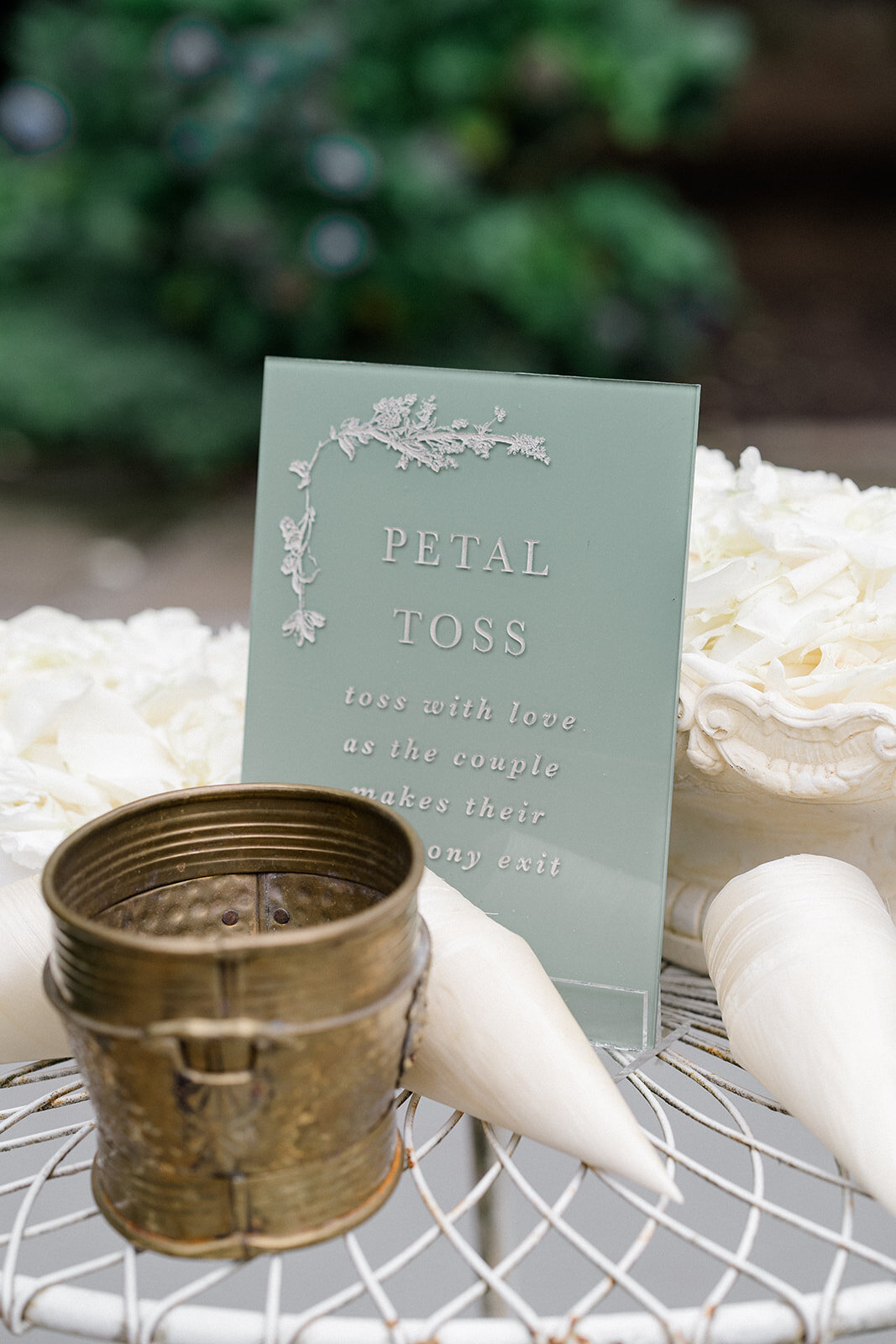 10113133898.jpg_exif1