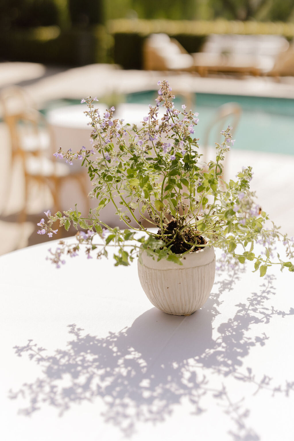 105_Emily_Jason_Hummingbird Nest Ranch_ Wedding_Alison Rose Events_Wedding Planner