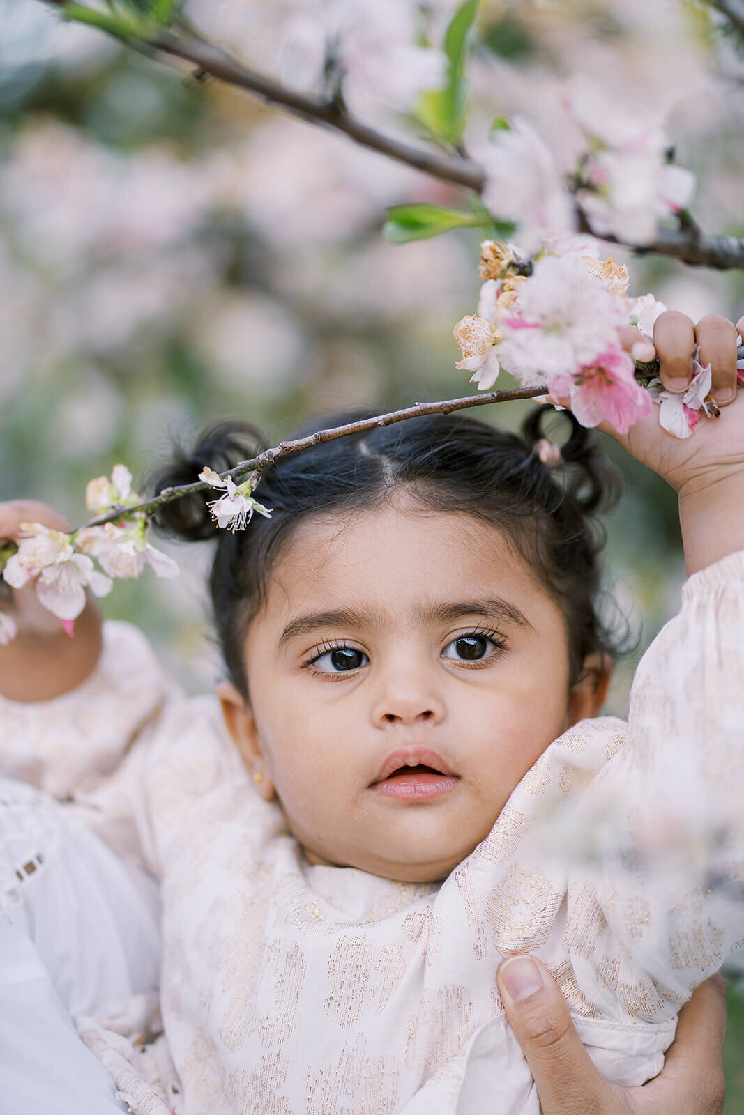 Baby headshot holding cherry blossoms smiling naturally during family photoshoot in Redland Bay.