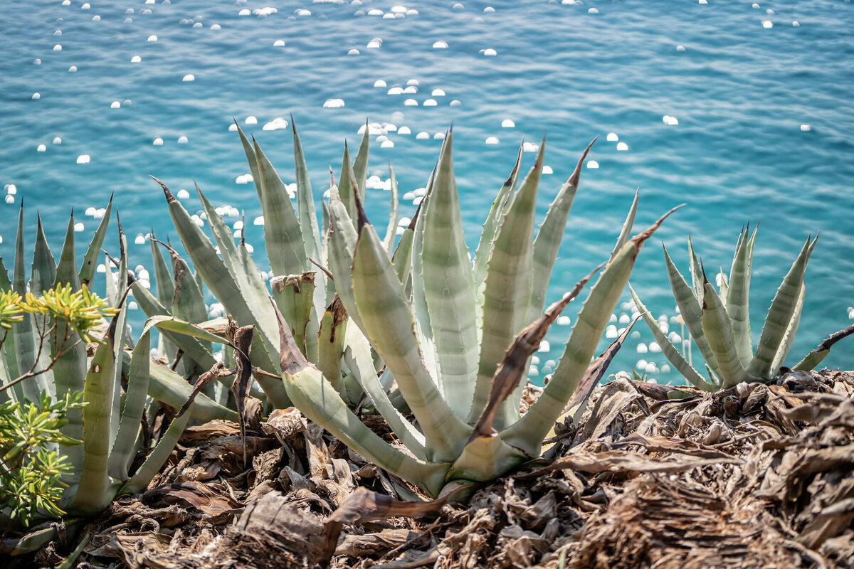 Villa-dalmacija-wedding-split-croatia-victoria-amrose-photography (8)