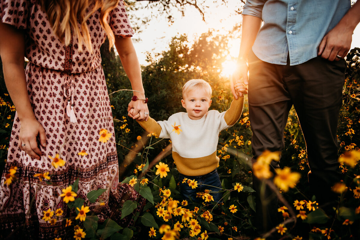Mom and dad holding little boy's hands in a flower field.
