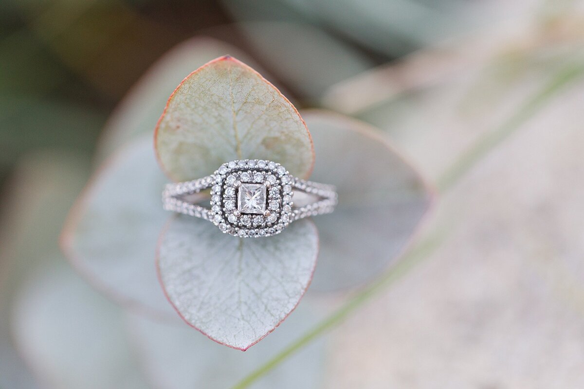 Jennifer B Photography_3097