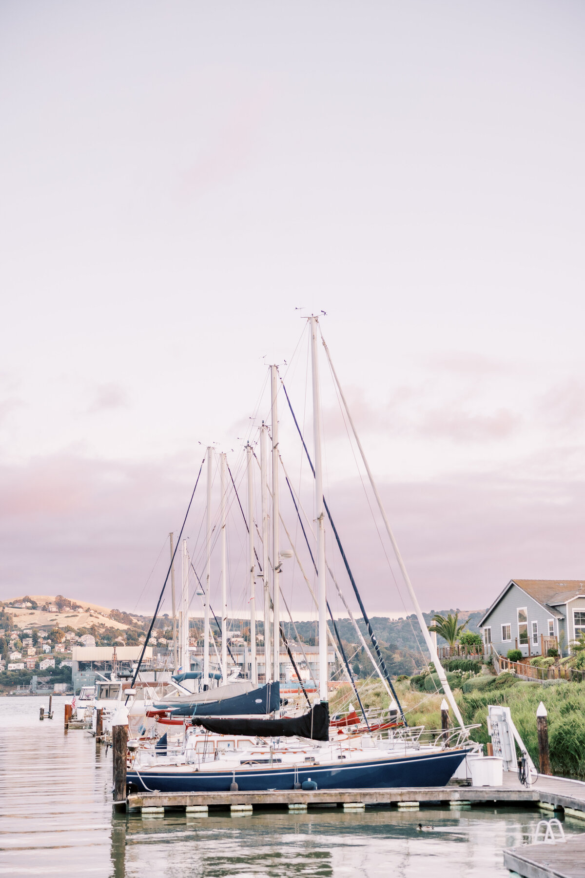 MA_Glen Cove Marina_ReginaKPopova_h-138
