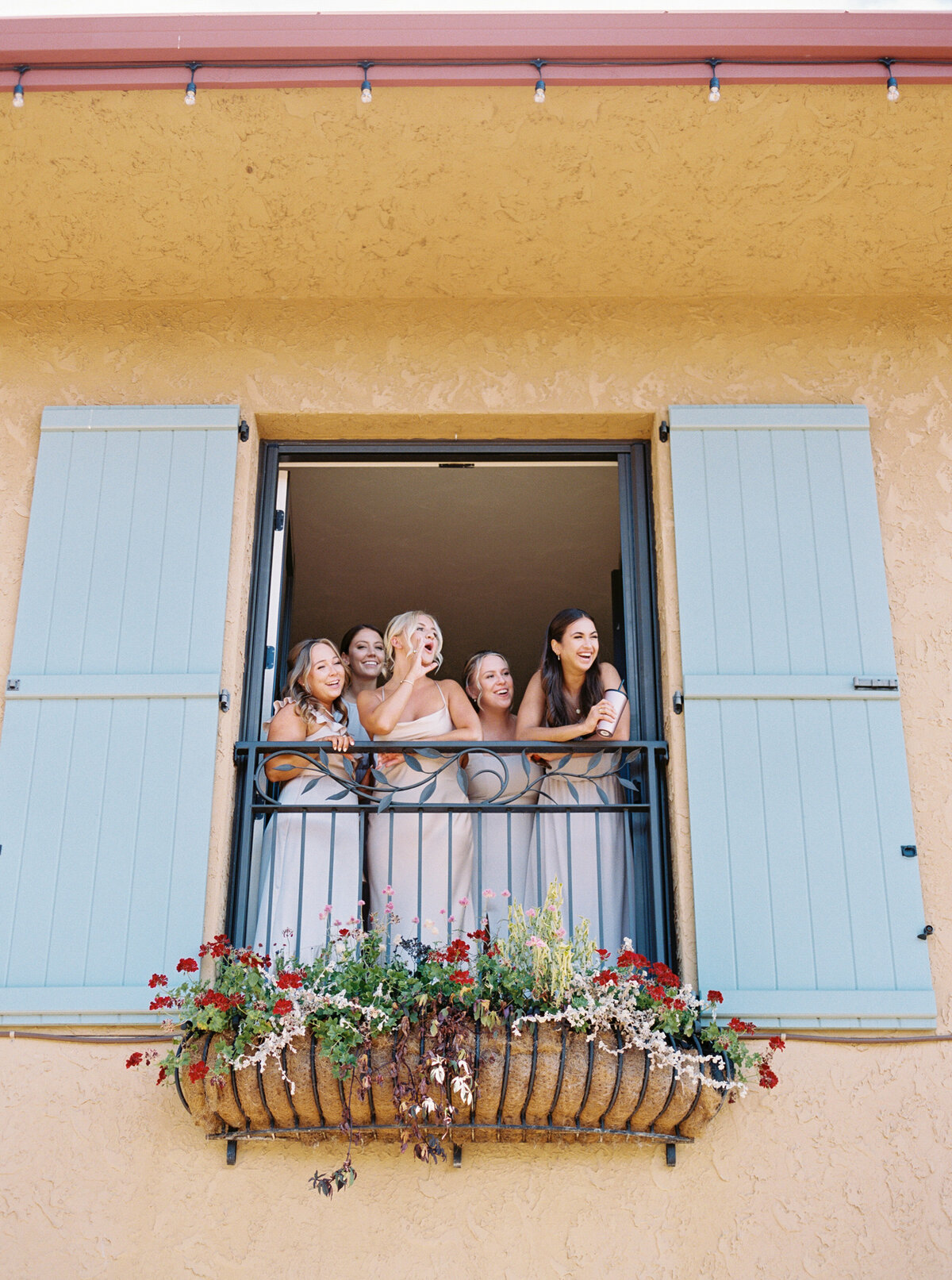 wedding-at-black-walnut-inn-and-vineyard-photography-by-the-tenneys-12