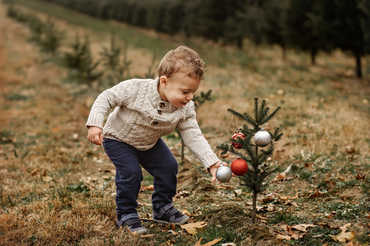little boy putting an ornament on a tree at a fmaily photogrpahy  session