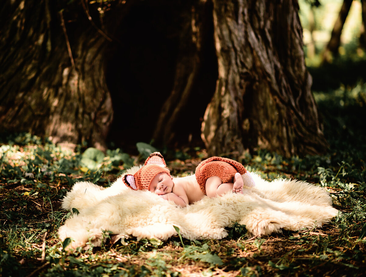 Infant boy dressed as a fox at his outdoor photos in Grimsby, Ontario sleeping by a tree stump on fur.