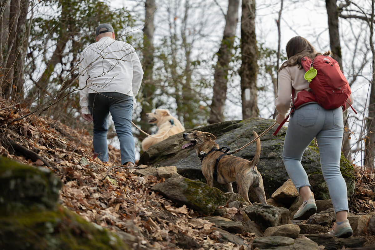 engagementphotos-14