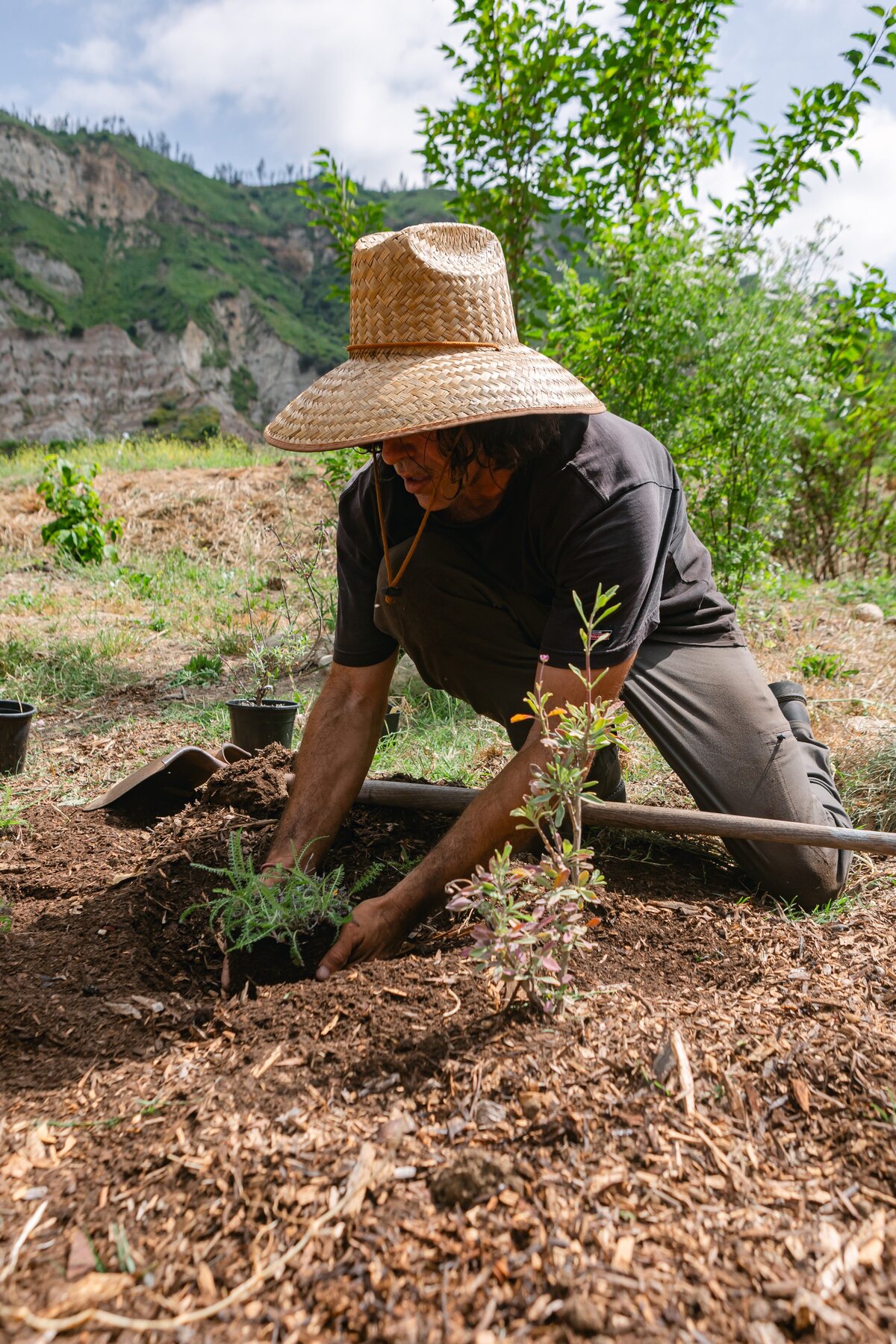 The-Ripe-Org-Farm-Ventura-California-Santa-Paula-Non-Profit-0026